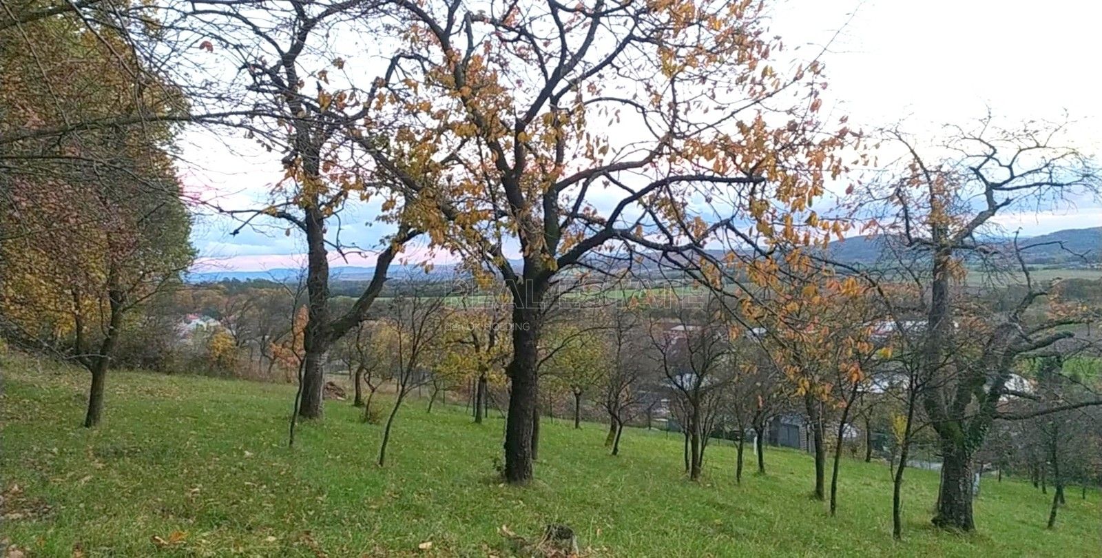Zahrada, 3 492 m²