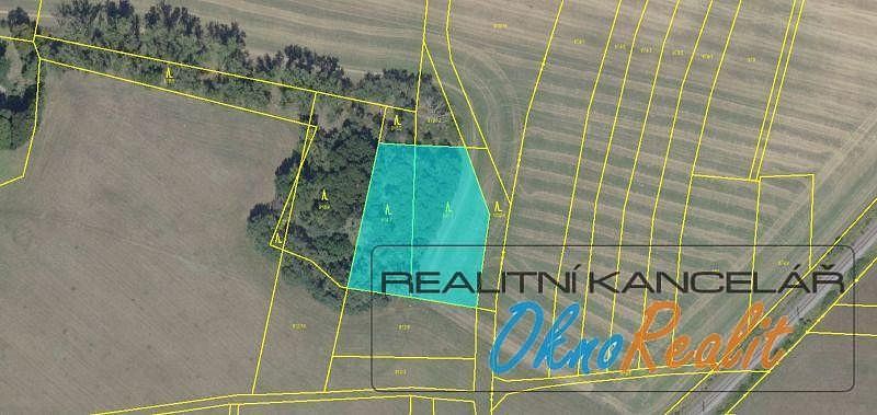 Lesy, Vítězovská, Velim, okres Kolín - 1