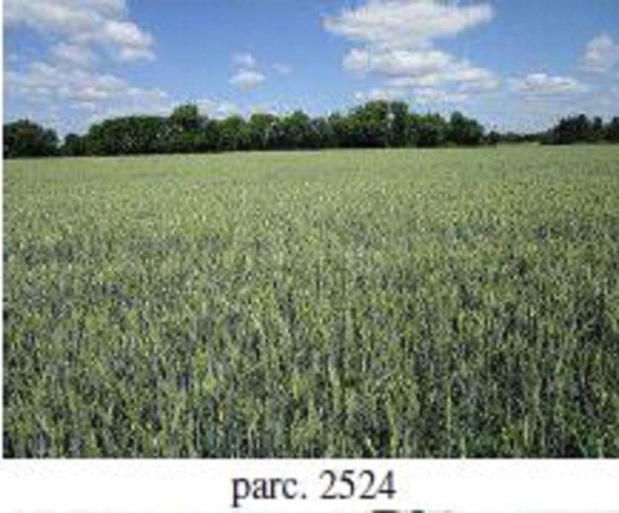 Prodej zemědělský pozemek - Chrlice, Brno, 7 587 m²