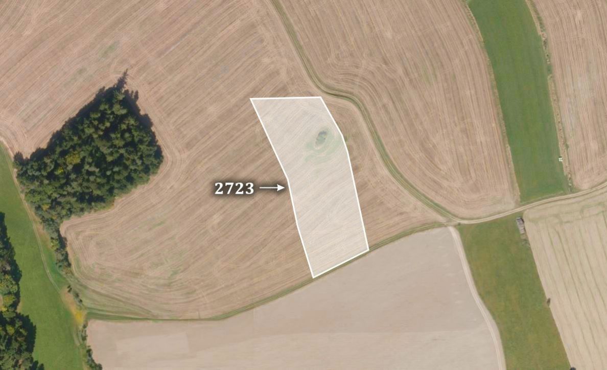 Prodej zemědělský pozemek - Spálov, 10 067 m²