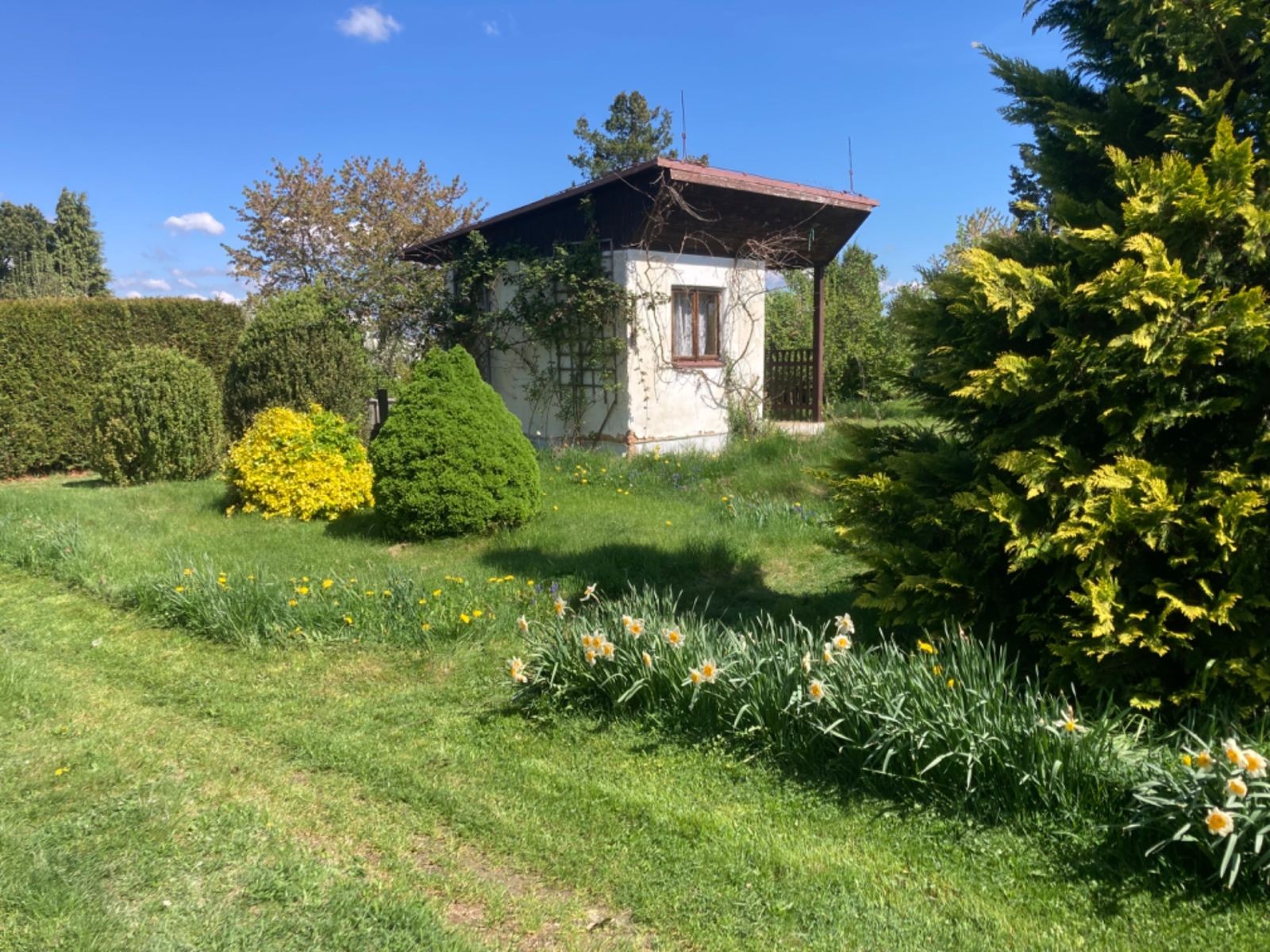 Zahrada · Plzeň - Doubravka, Plzeňský kraj - 4