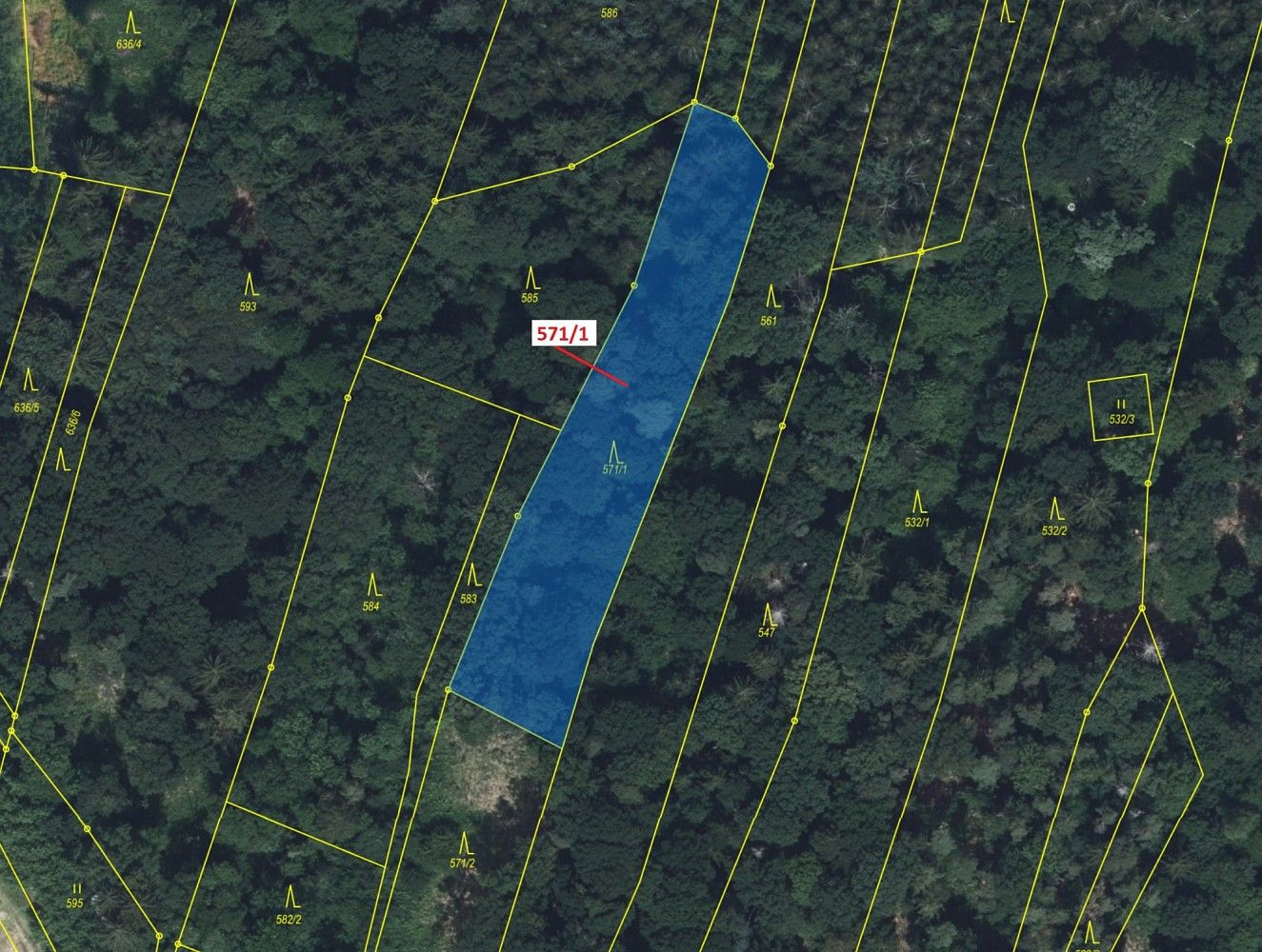 Lesy, Dobříkov, okres Ústí nad Orlicí, Pardubický kraj - 2