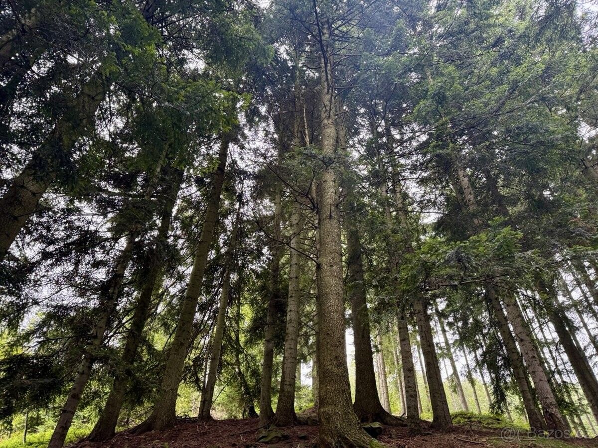 Prodej pozemek pro bydlení - Hutisko-Solanec, 756 62