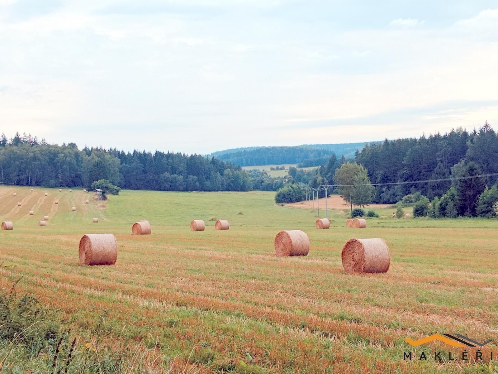 Prodej zemědělský pozemek - Starý Bozděchov, Horní Radouň