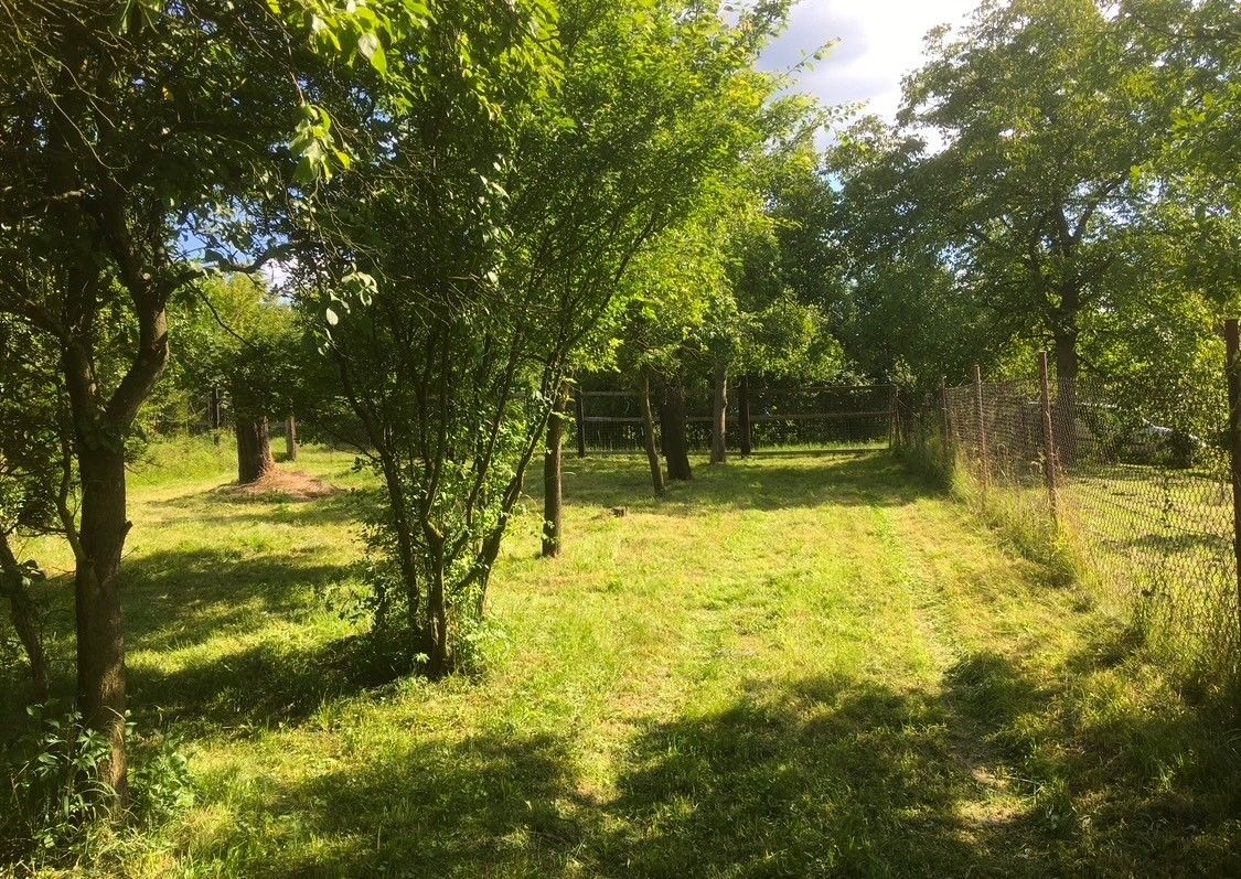 Pronájem zahrada - Bystřice pod Hostýnem, 768 61