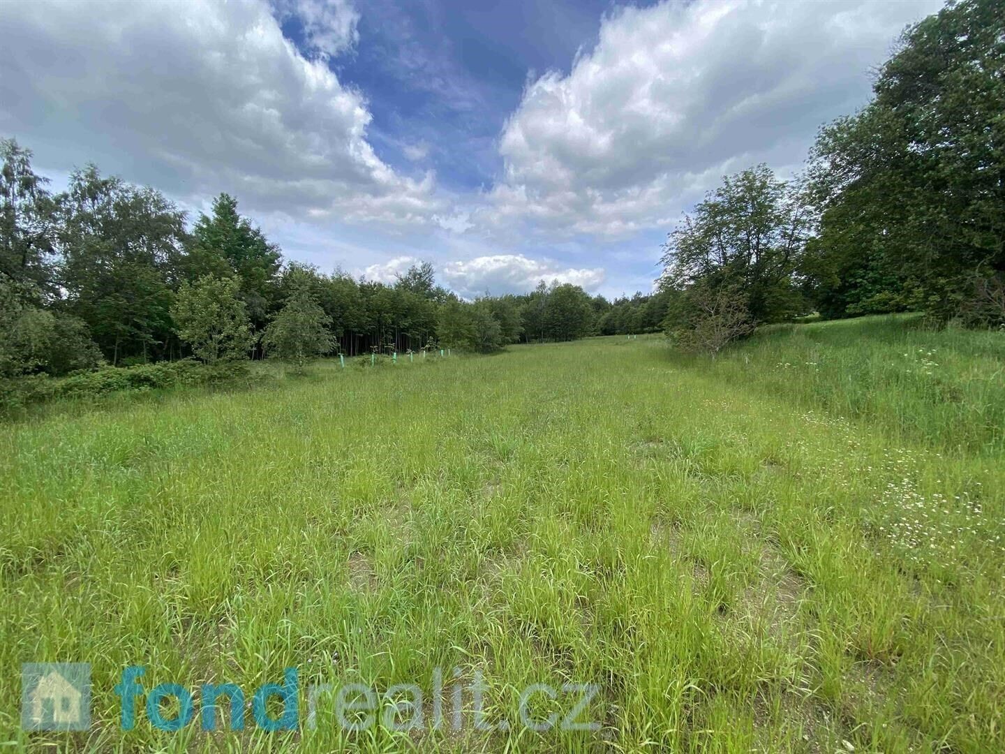 Louka · 7 893 m² · Slavonice Stálkov - 3