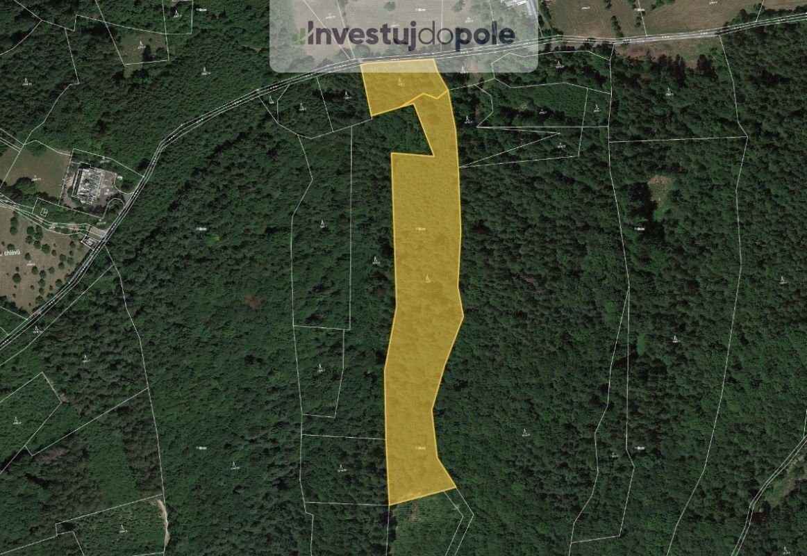 Prodej les - Slušovice, 763 15, 21 494 m²