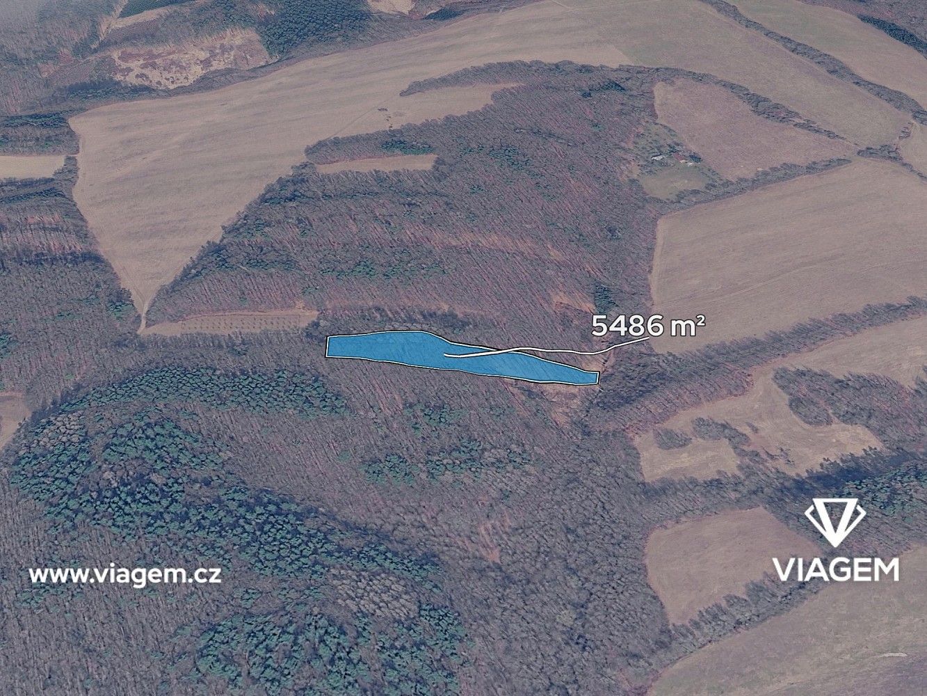 Lesy, Březůvky, okres Zlín, Zlínský kraj