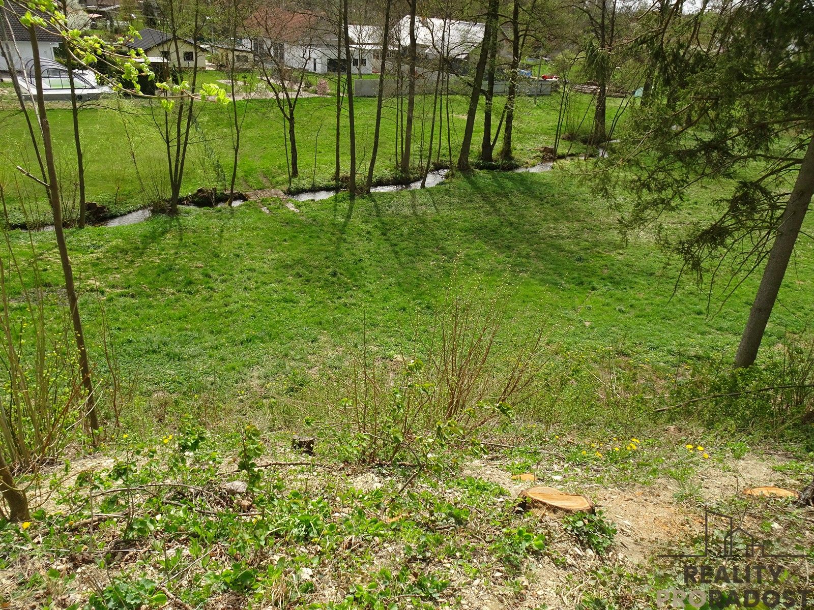 Prodej louka - Kvasiny, 5 m²