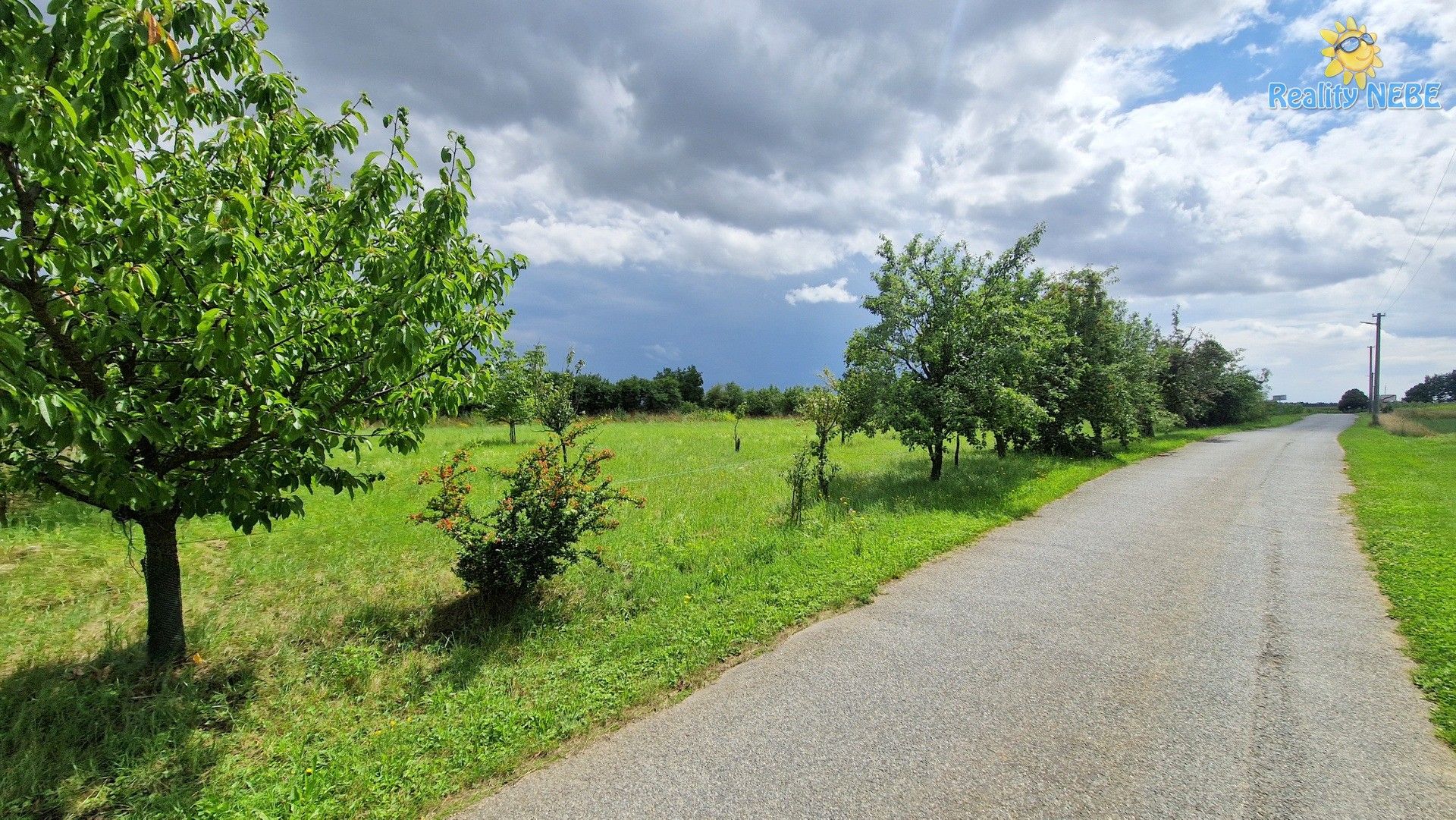 Prodej pozemek pro bydlení - Rešice, 3 572 m²