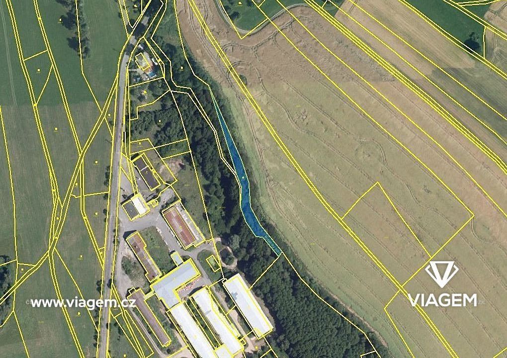 Les · Proseč, okres Chrudim, Pardubický kraj - 3