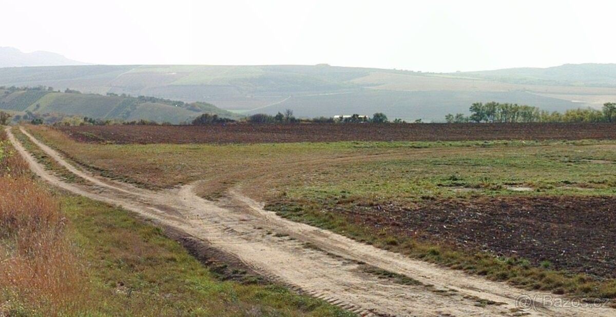 Prodej pozemek pro bydlení - Velké Němčice, 691 63