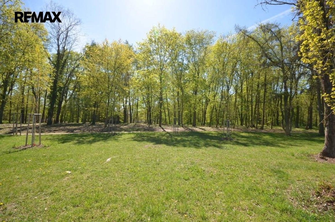 Zahrada · 800 m² · Slaný - 4
