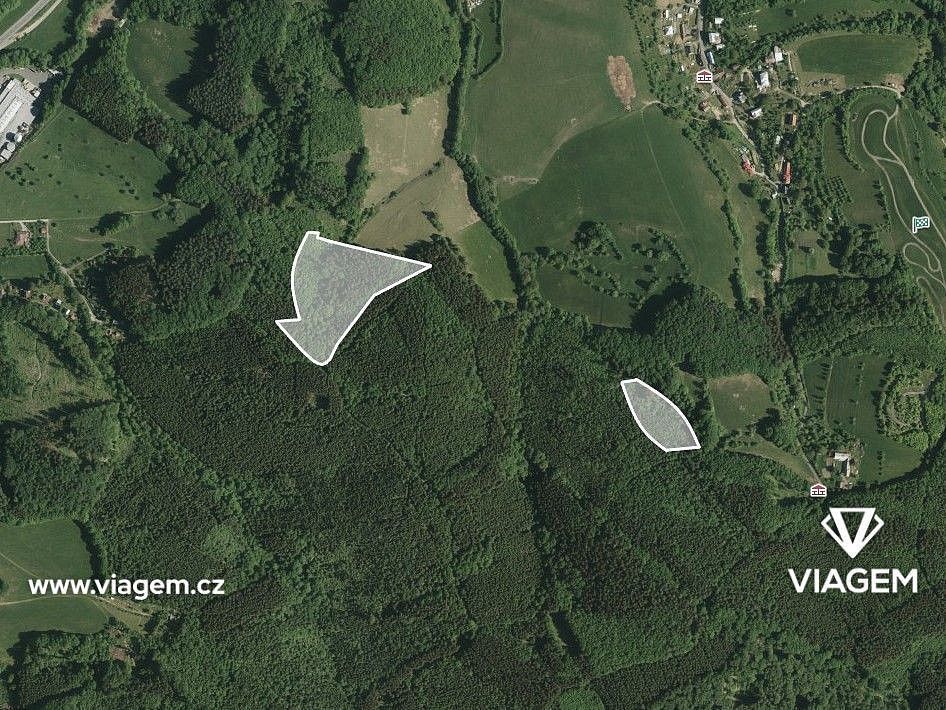 Prodej les - Dešná, okres Zlín, Zlínský kraj - 2