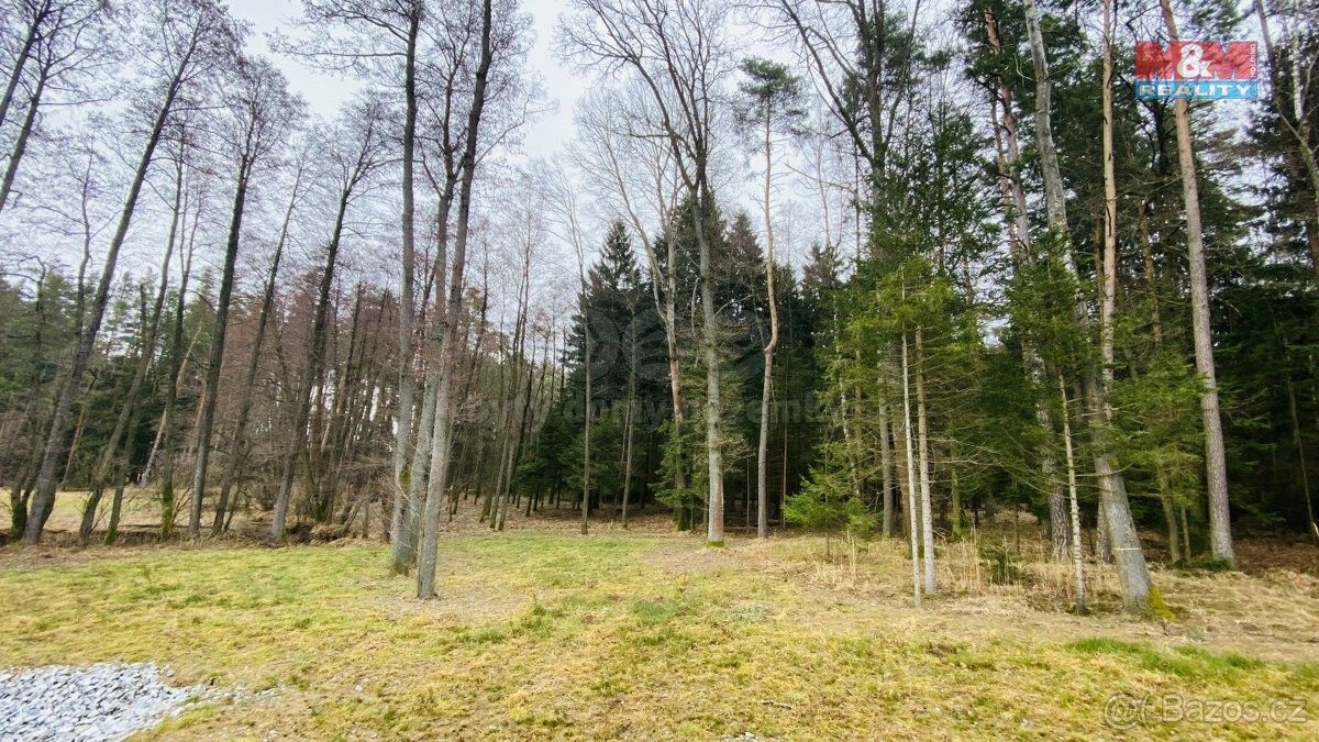 Lesy, Trhové Sviny, 374 01, 15 999 m²