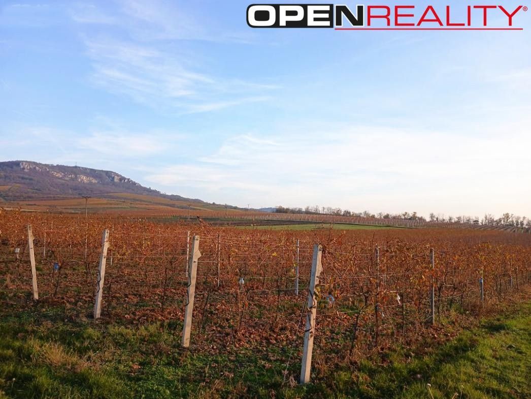 Prodej pozemek - Perná, 10 519 m²