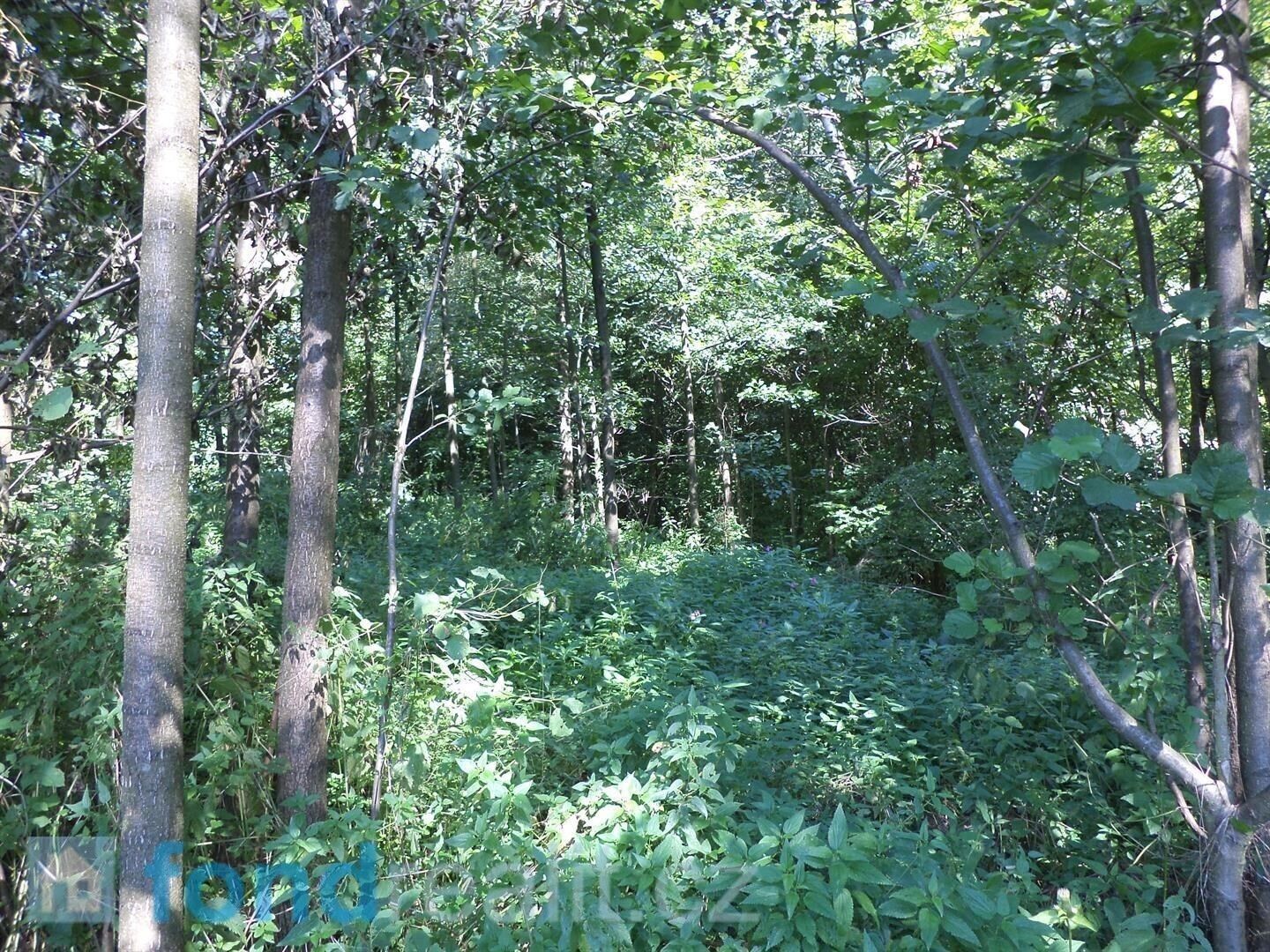 Pozemek · 4 529 m² · Stonava - 4