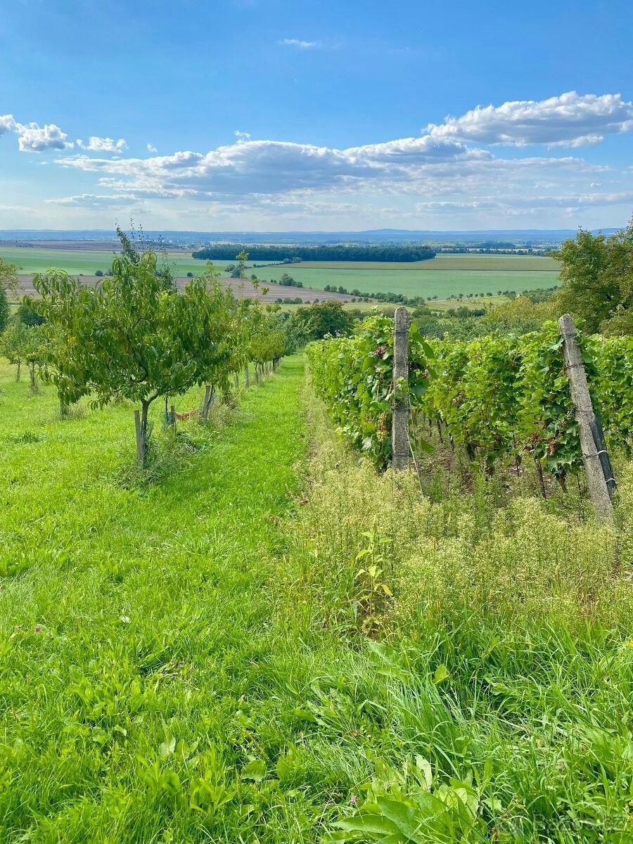 Prodej chata - Strážnice, 696 62