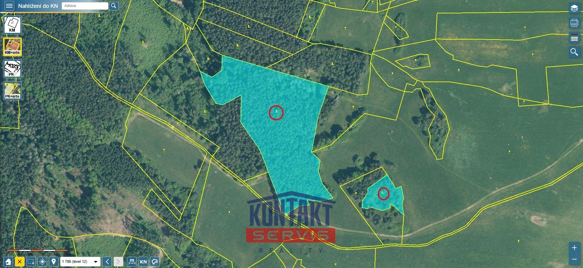 Prodej les - Jickovice