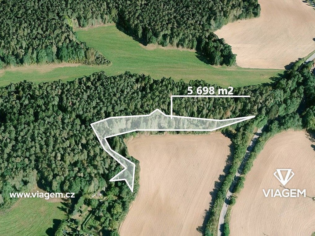Prodej les - Čím, okres Příbram, Středočeský kraj - 1