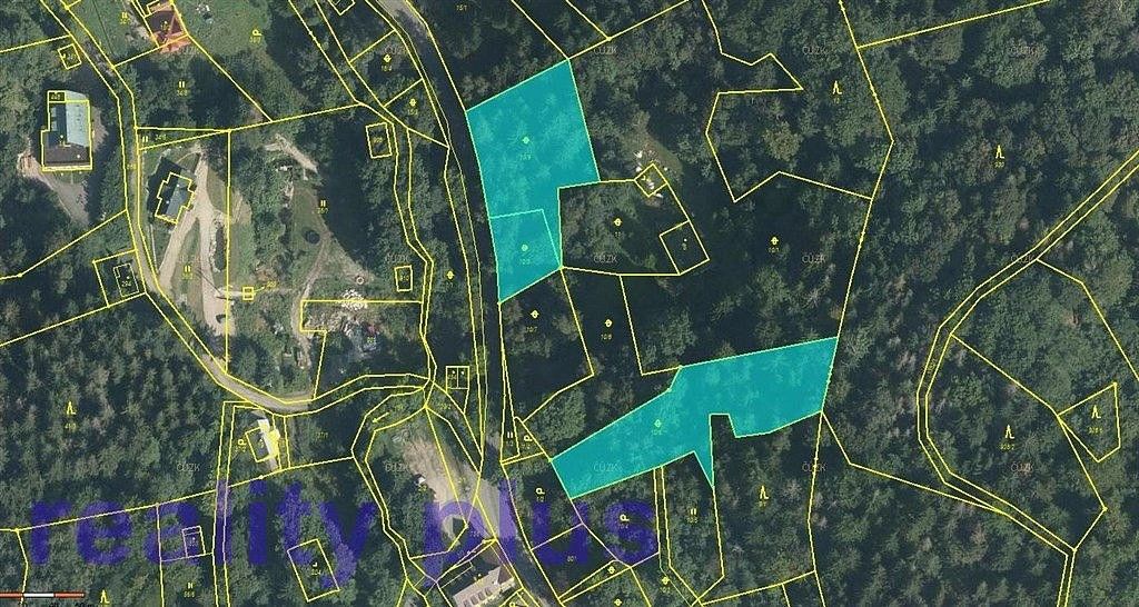 Lesy, Bedřichov, okres Jablonec nad Nisou, Liberecký kraj - 1