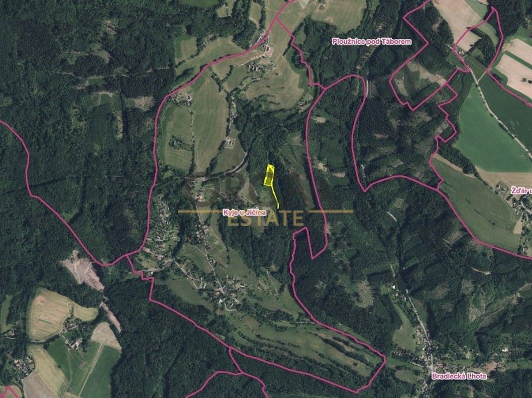 Prodej louka - Kyje, okres Jičín, Královéhradecký kraj - 2