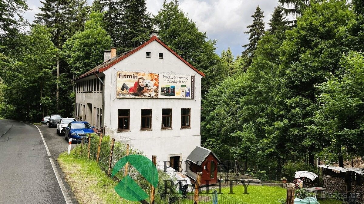 Rodinné domy, Nová Ves nad Nisou, 468 27 - 1
