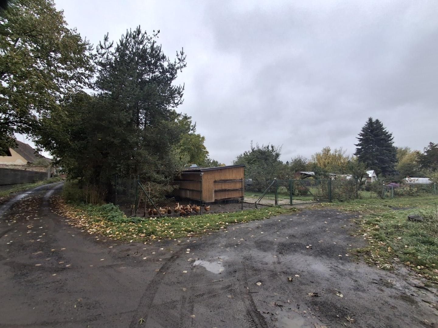 Prodej pozemek pro bydlení - Horní, Františkovy Lázně