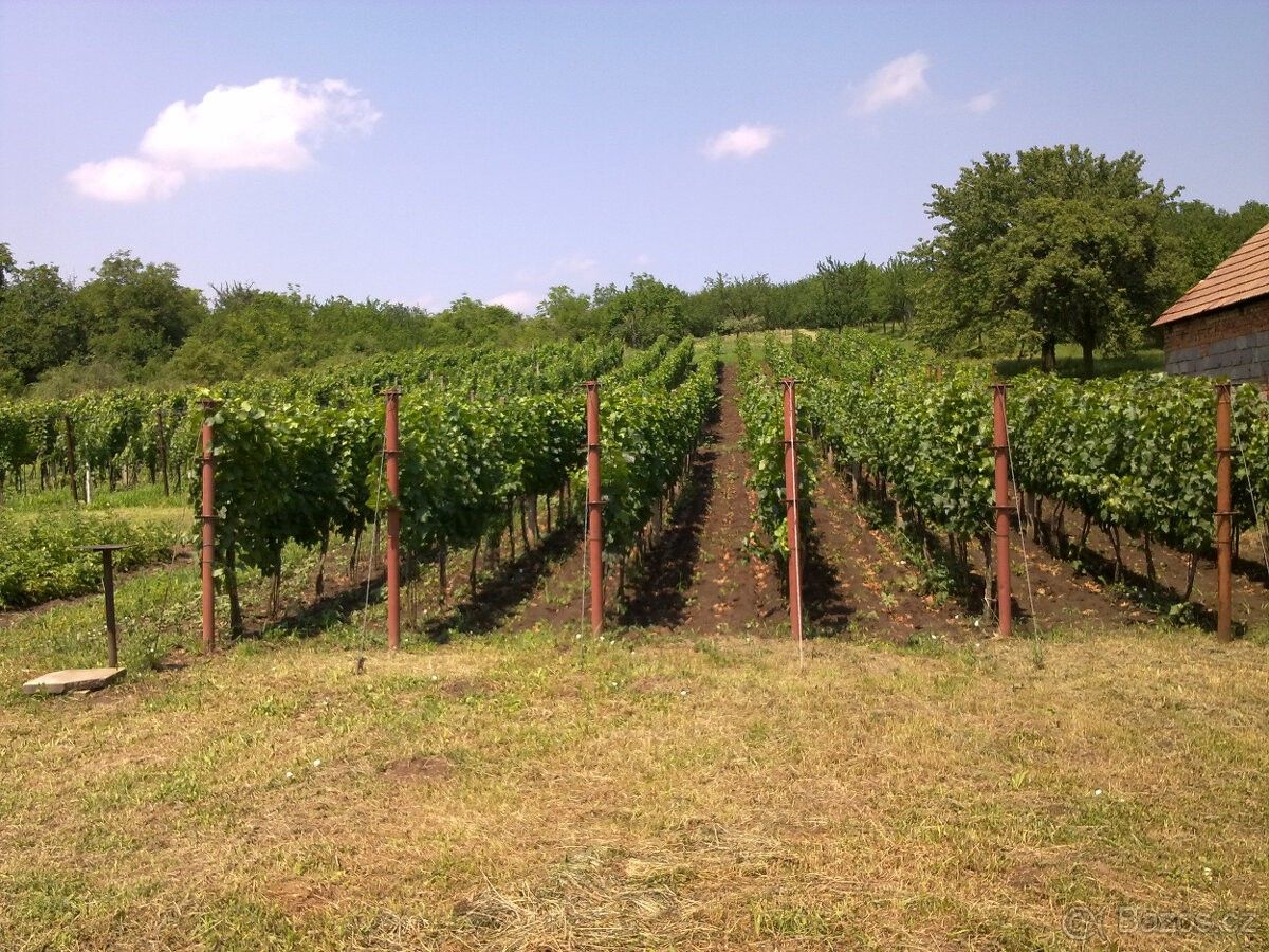 Pozemky pro bydlení, Starý Poddvorov, 696 16, 1 900 m²