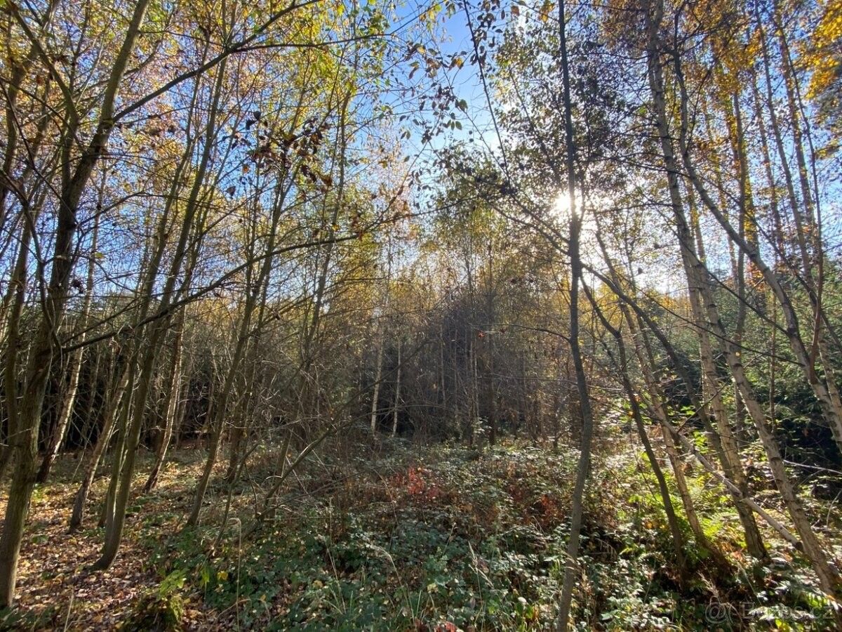 Prodej pozemek pro bydlení - Klatovy, 339 01