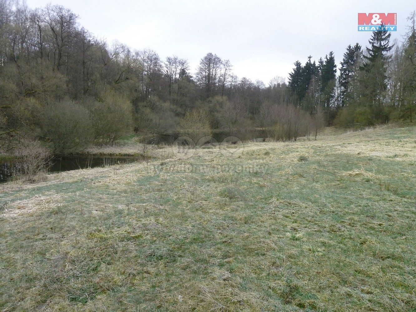 Rybník · Hazlov, okres Cheb, Karlovarský kraj - 3
