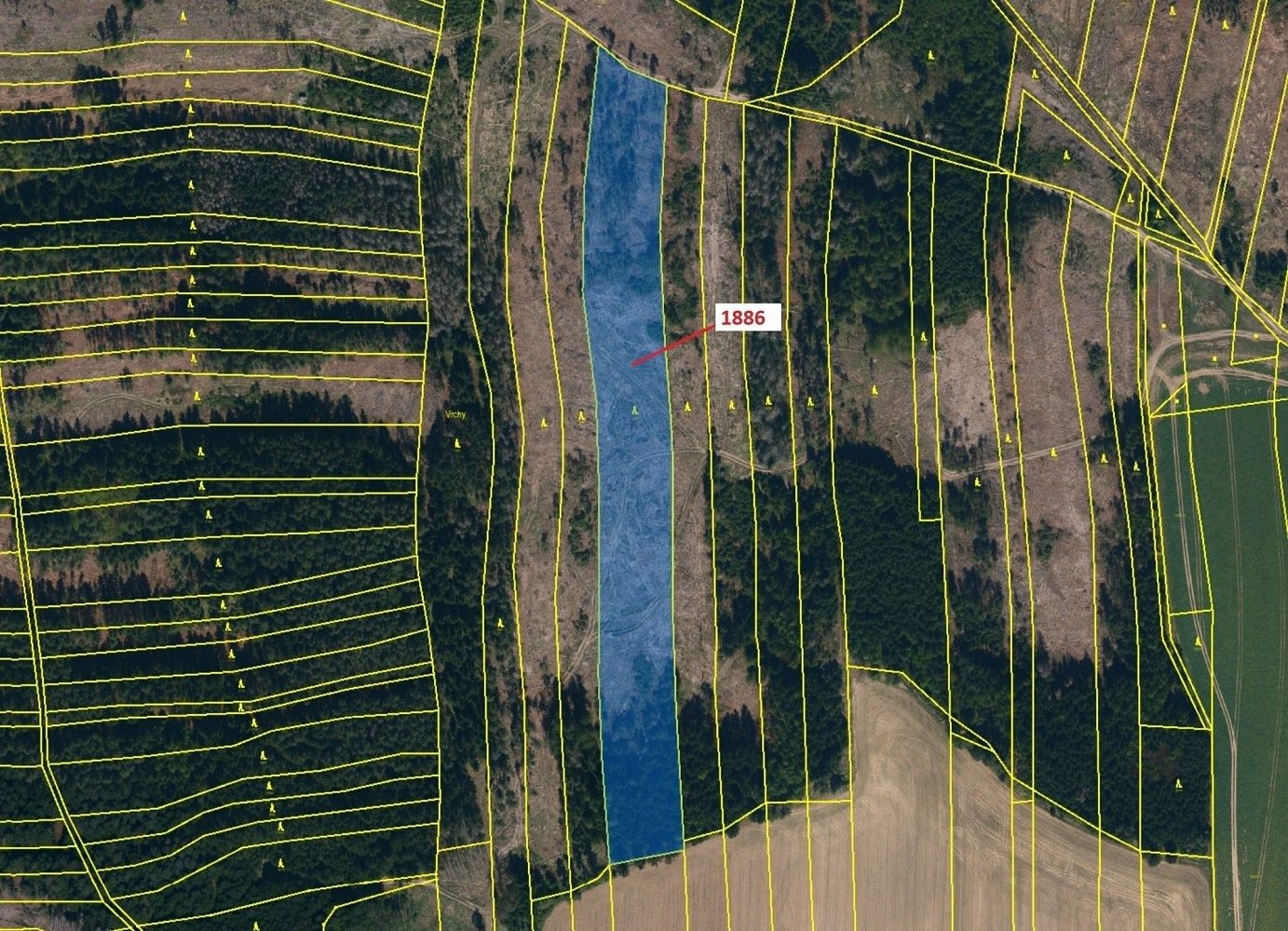 Prodej les - Rodinov, okres Pelhřimov, Kraj Vysočina - 2