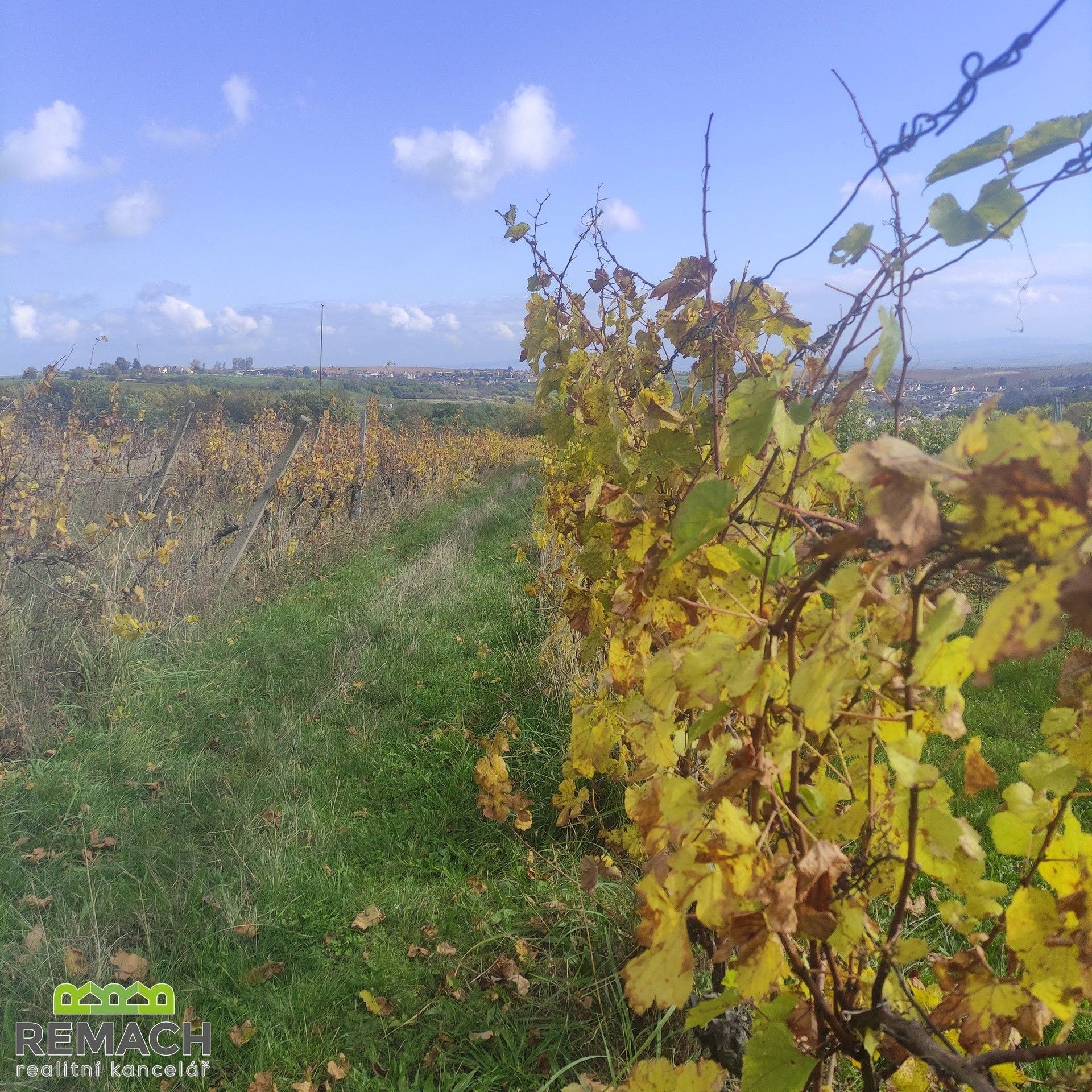 Prodej pozemek - Ořechov, 4 846 m²