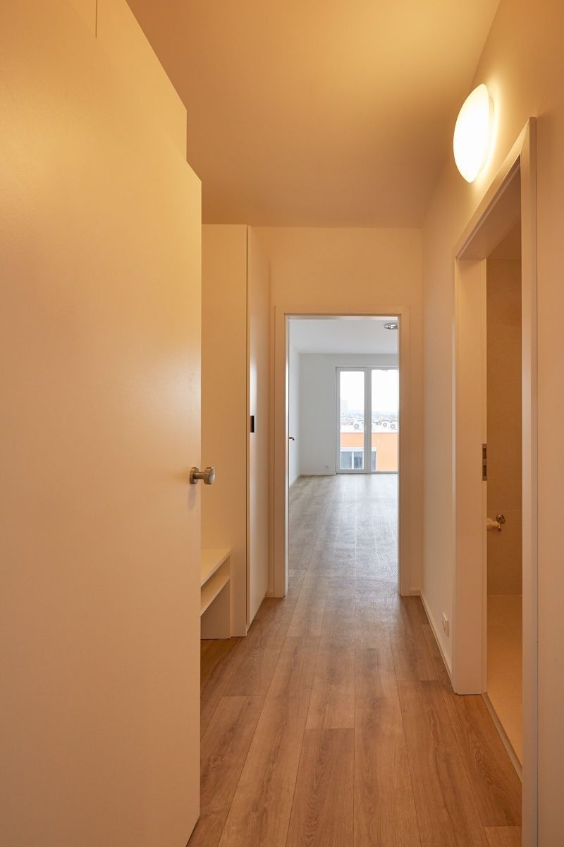 Byt 1+kk · 30 m² · Pod Soutratím, Praha - Vršovice - 3
