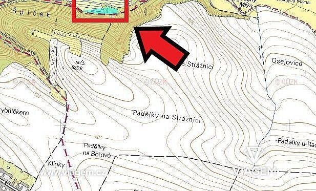 Prodej les - Budeč, okres Jindřichův Hradec, Jihočeský kraj - 2