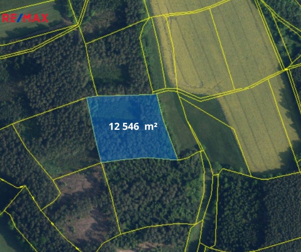 Prodej les - , Bílá, 66 m²