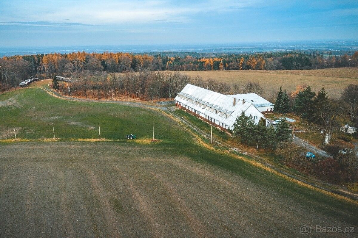Restaurace, Třemošnice, 538 43