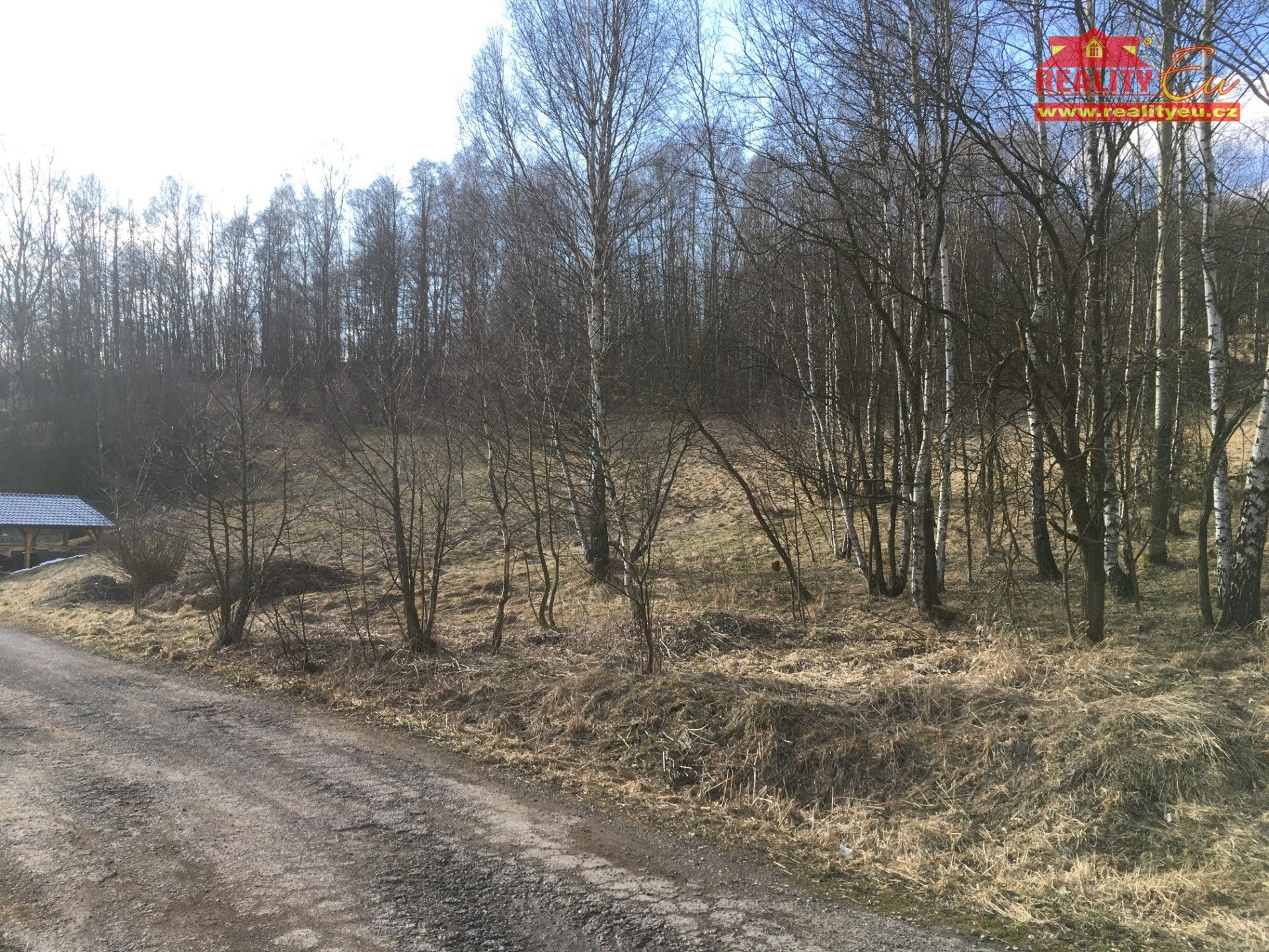 Prodej pozemek pro bydlení - Bernartice