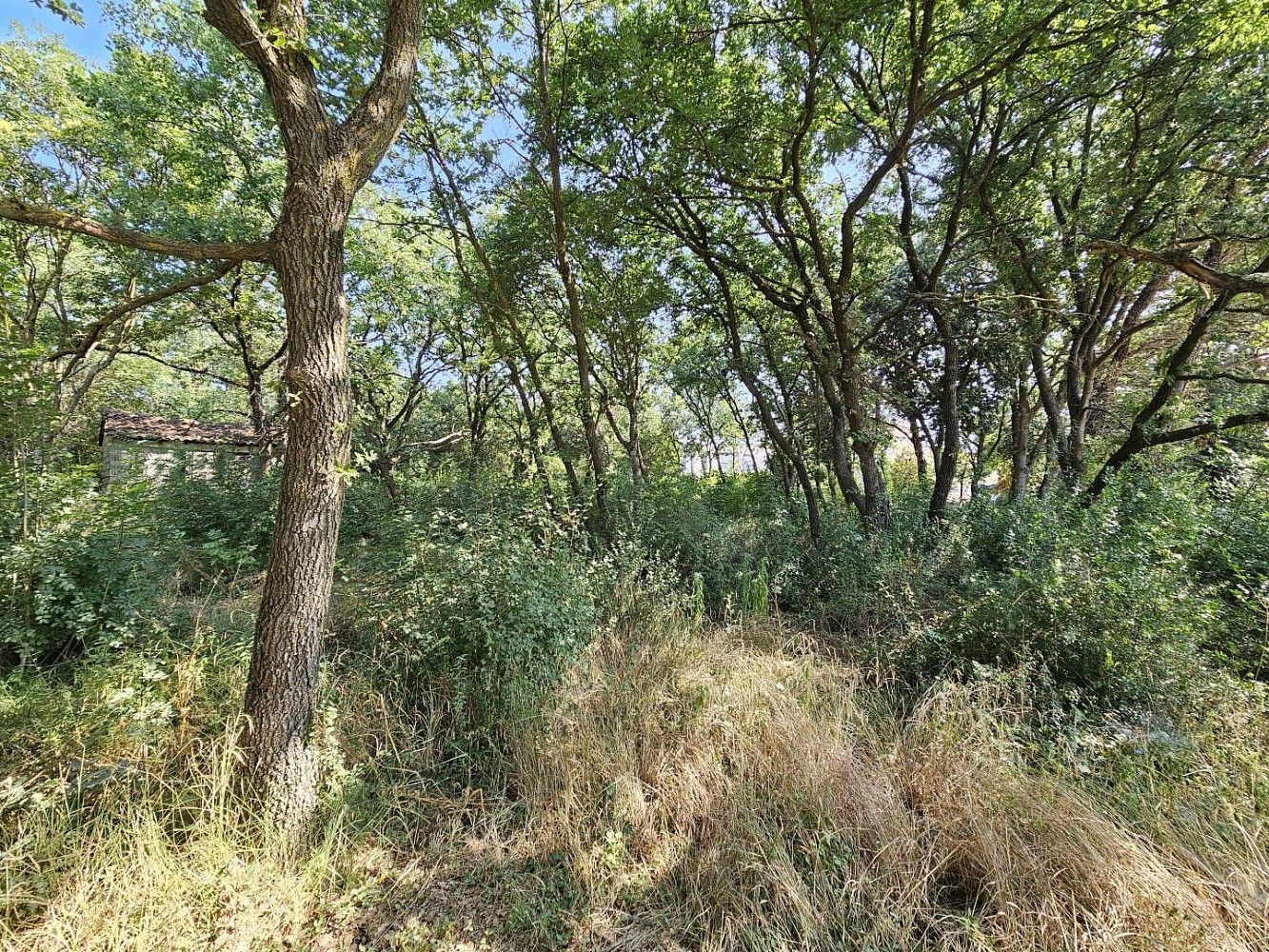 Pozemek pro bydlení, 1 345 m²