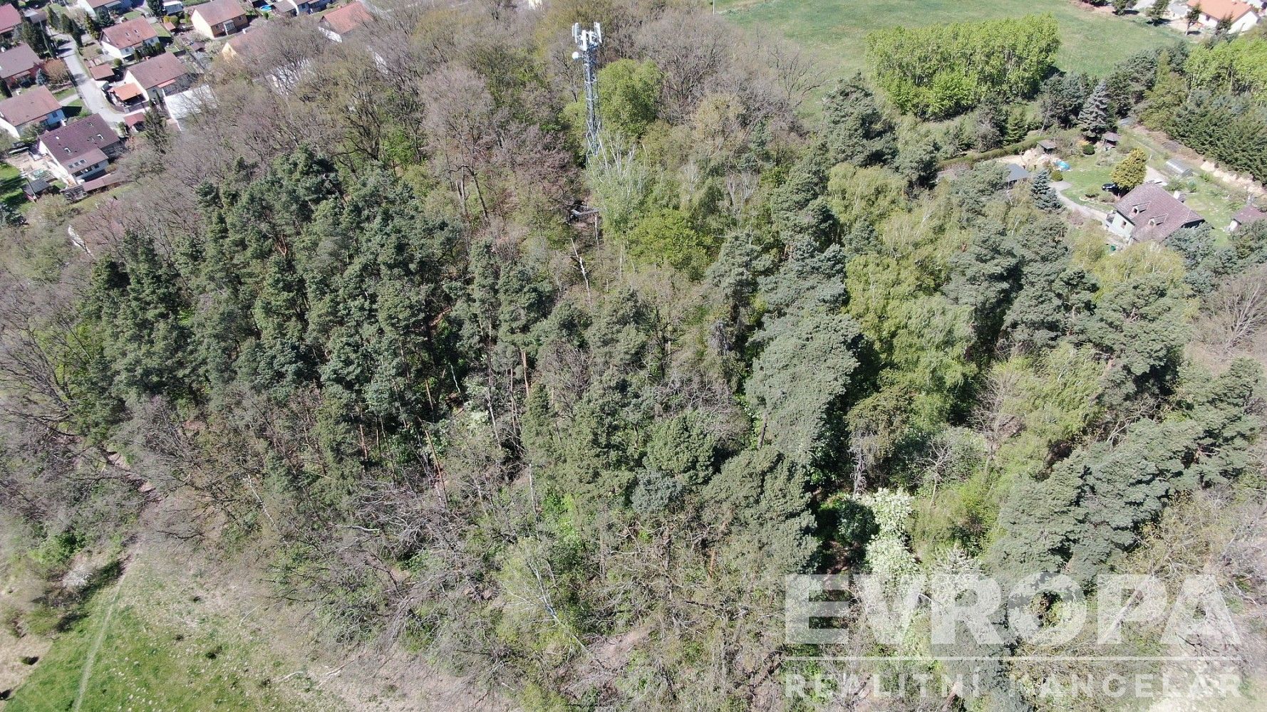 Les · Zákupy, okres Česká Lípa, Liberecký kraj - 4