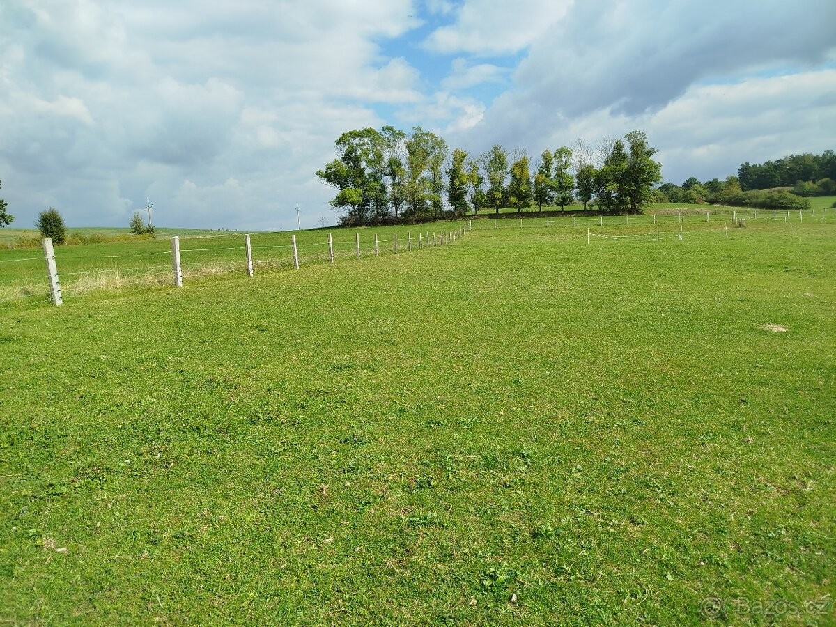 Prodej pozemek pro bydlení - Písek, 397 01 - 5