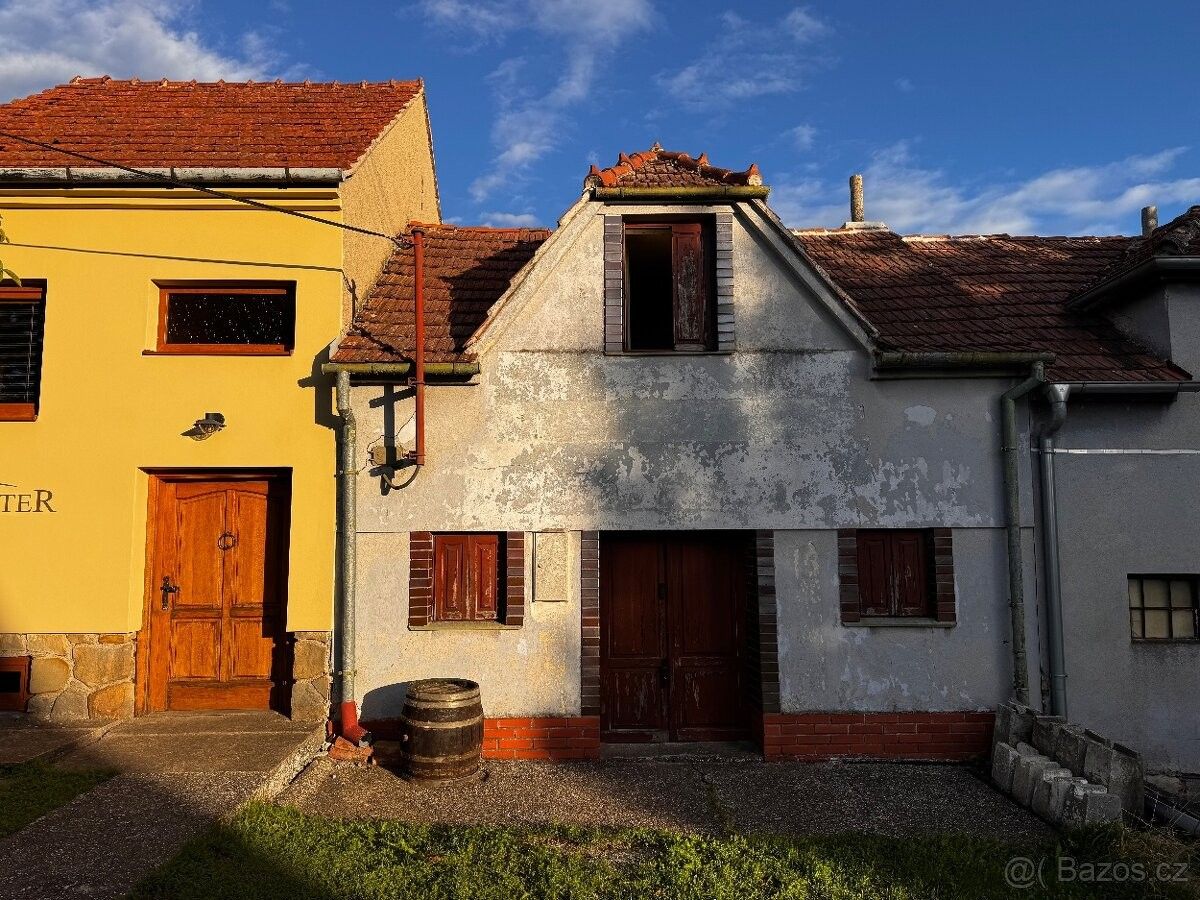 Ostatní, Velké Bílovice, 691 02 - 1