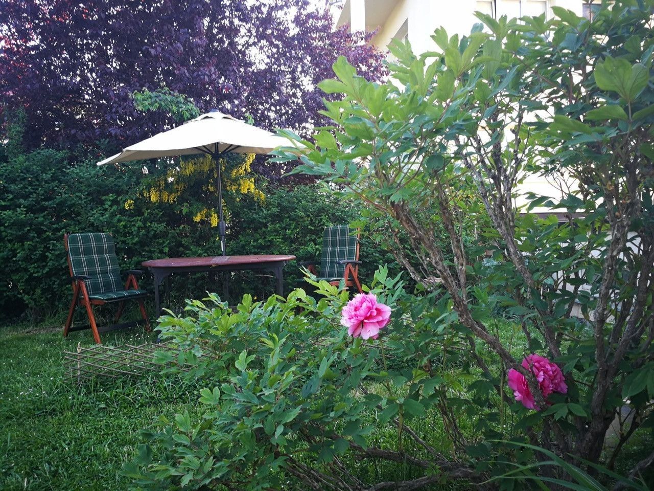 Byty, Na Kuthence, Praha - Dejvice, 48 m² - 1