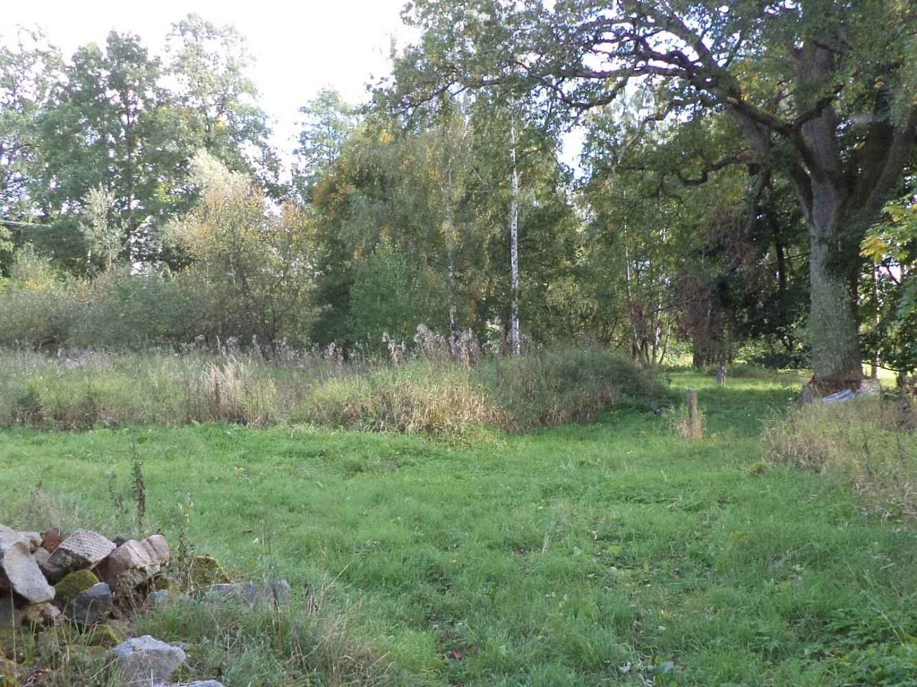 Prodej louka - Žďár, okres Jindřichův Hradec, Jihočeský kraj - 1