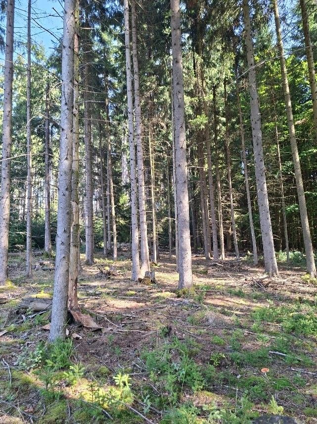 Pozemky pro bydlení, Těmice u Kamenice nad Lipou, 394 96 - 2