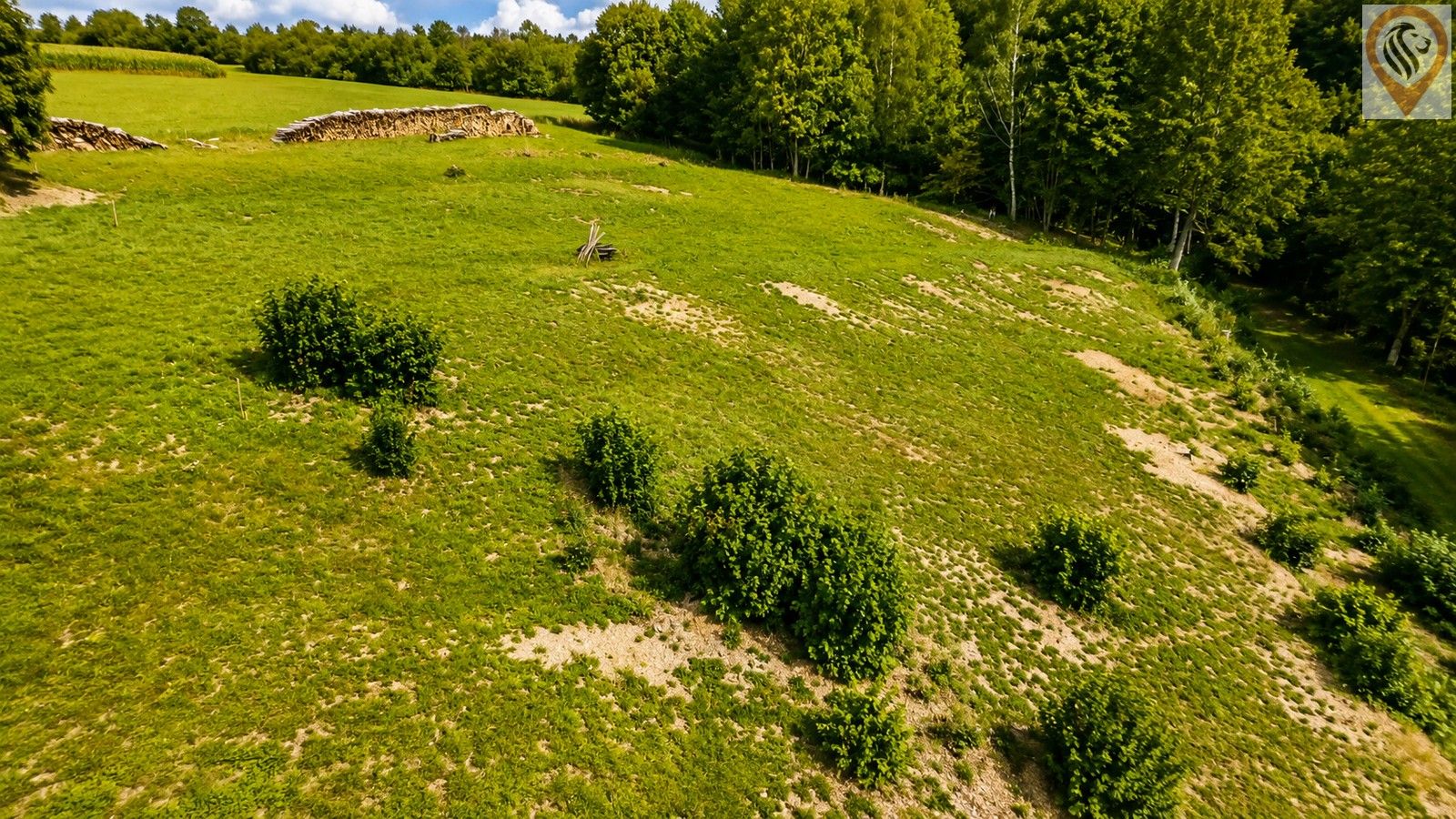Pozemek pro bydlení · 1 007 m² · Dětřichov - 3