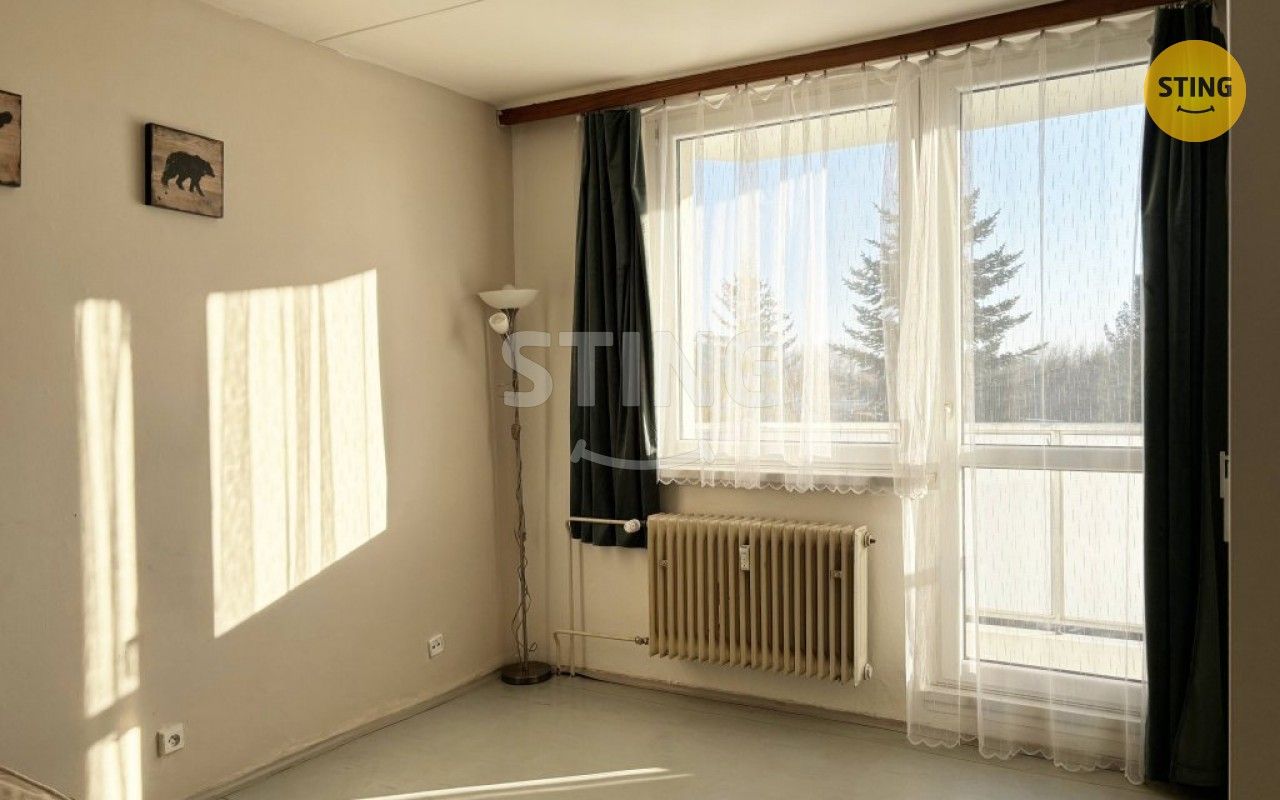 Pronájem byt 1+1 - Haškova, Žďár nad Sázavou, 32 m²