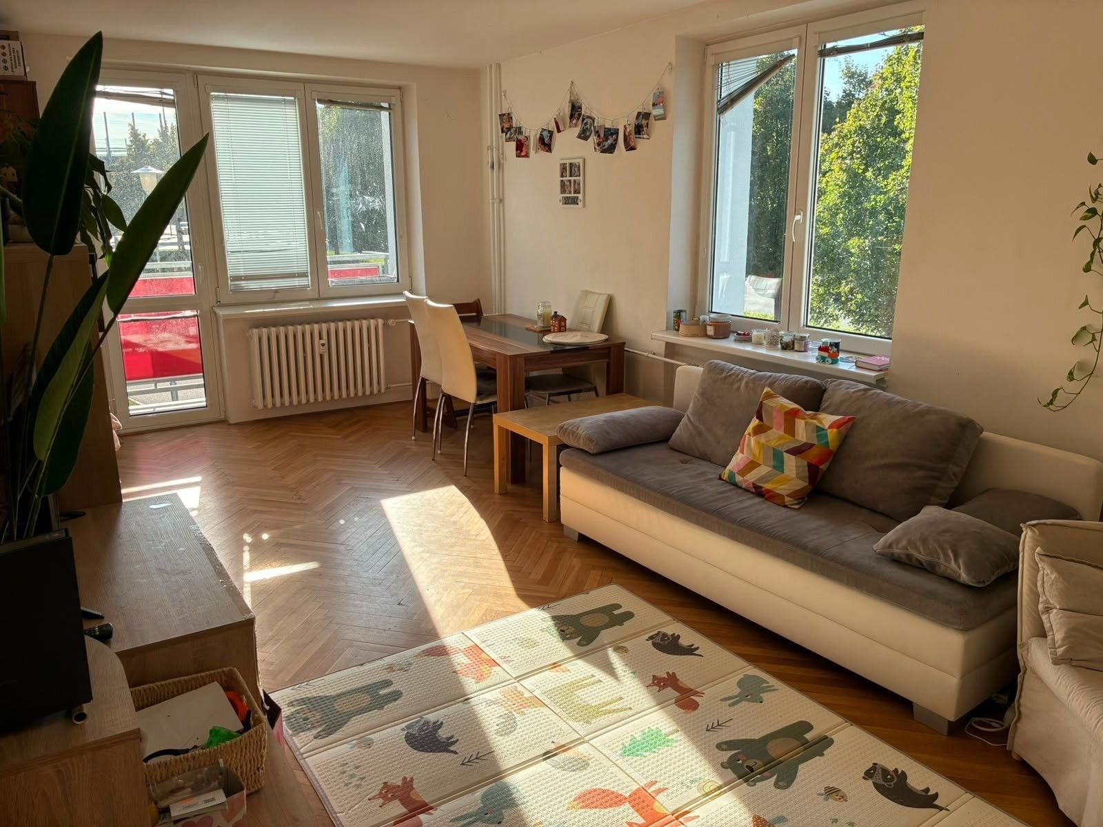 2+1, Svatopluka Čecha, Brno - Královo Pole, Jihomoravský kraj, 54 m² - 1