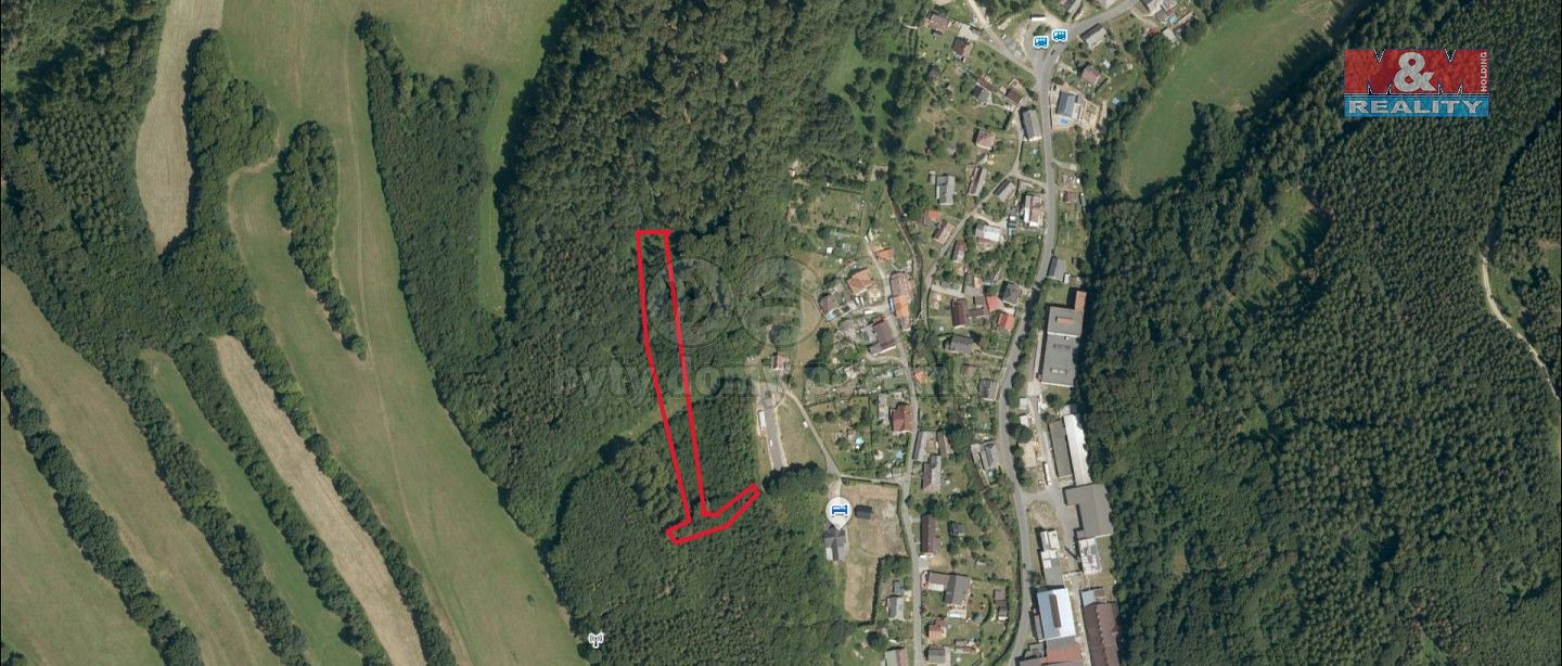 Lesy, Oskava, okres Šumperk - 2