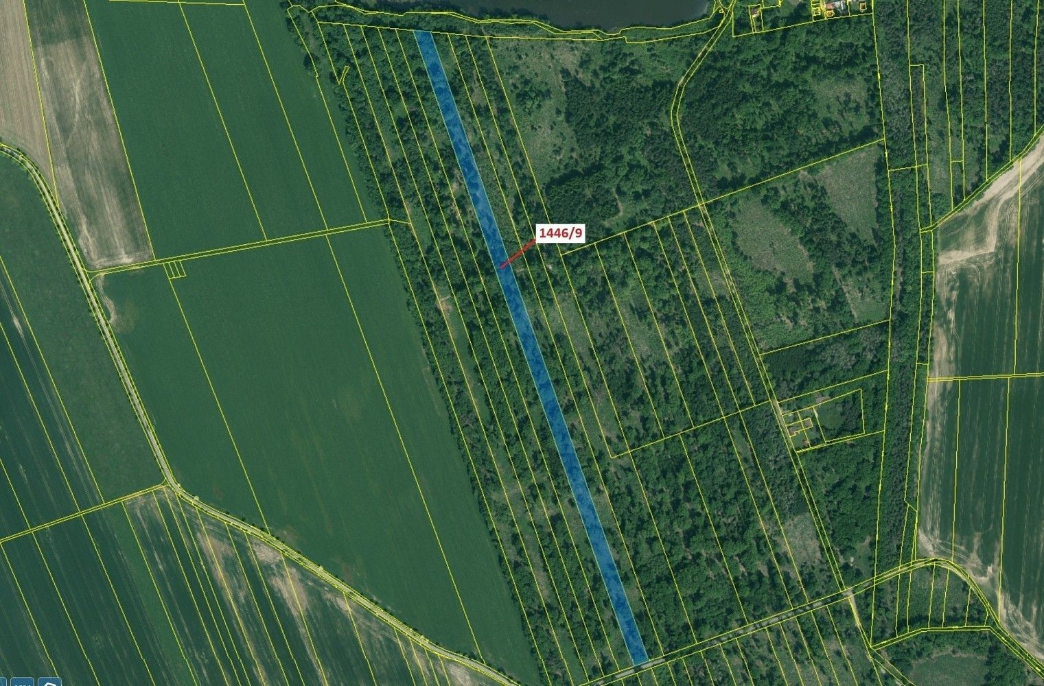 Prodej les - Břehov, okres České Budějovice, Jihočeský kraj - 2